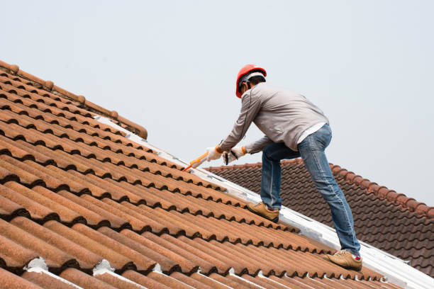 Best Solar Panel Roofing Installation  in Catalina Foothills, AZ