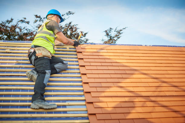 Best Roof Moss and Algae Removal  in Catalina Foothills, AZ
